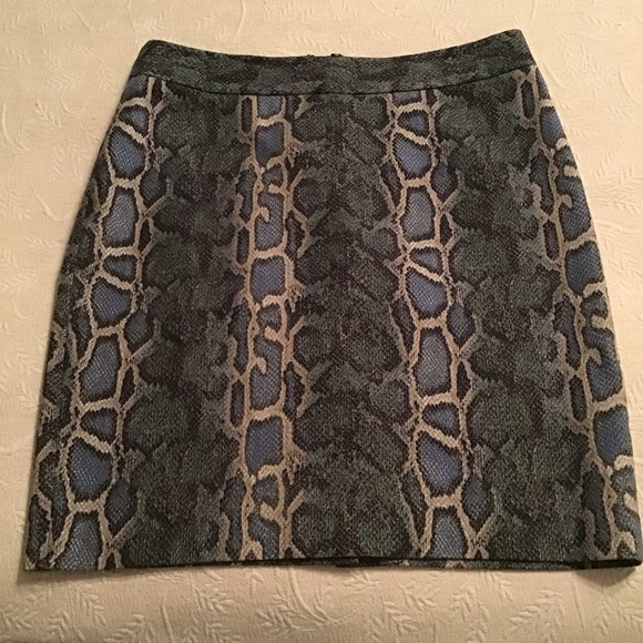LOFT Dresses & Skirts - CLEARANCE: Loft Lined Skirt, 10P
